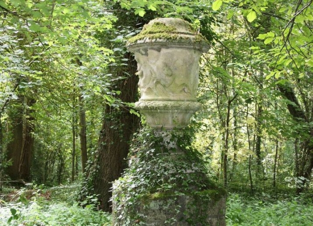  Wooded terrain for airsoft 